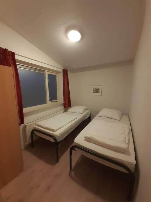 Saevis Tranquillus In Undis In De Ijsvogel Vila Diffelen Exterior foto