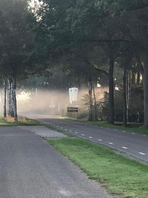 Saevis Tranquillus In Undis In De Ijsvogel Vila Diffelen Exterior foto